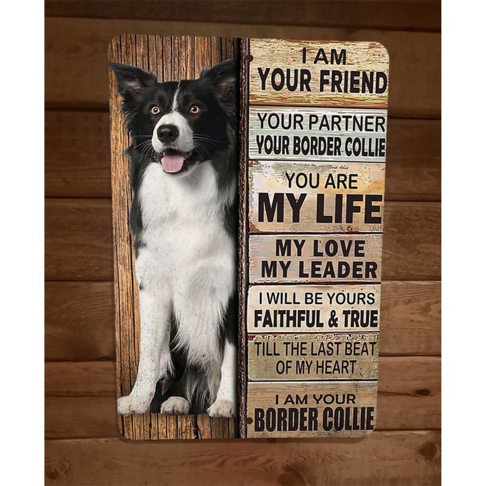 I am your Border Collie Friend 8x12 Metal Wall Animal Dog Sign